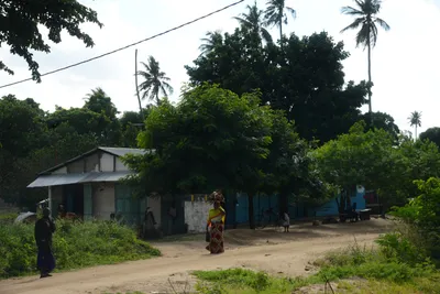 DSC_8114 (Large).JPG